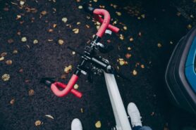 Road Bike Manual or How to Be a Champion.